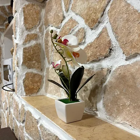 Dom wakacyjny House *