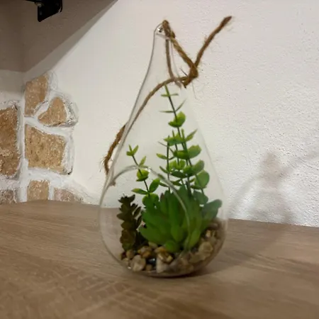 Σπίτι διακοπών House Ostuni