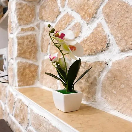 House Ferienhaus